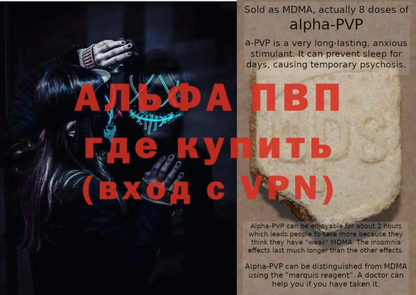 PSILOCYBIN Балабаново