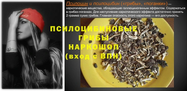 PSILOCYBIN Балабаново
