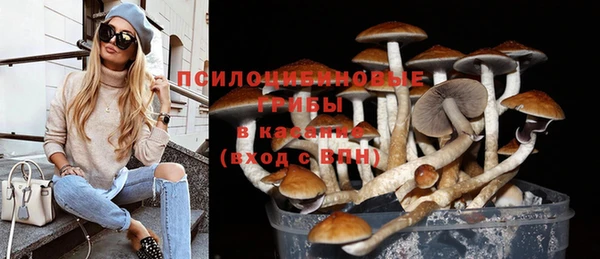 2c-b Балахна