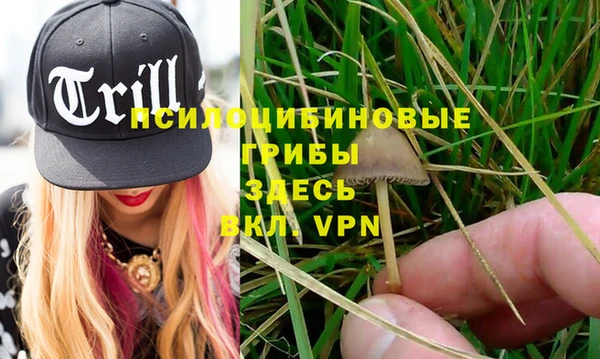 PSILOCYBIN Балабаново