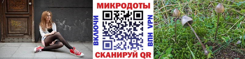 Псилоцибиновые грибы мицелий  Тихвин 